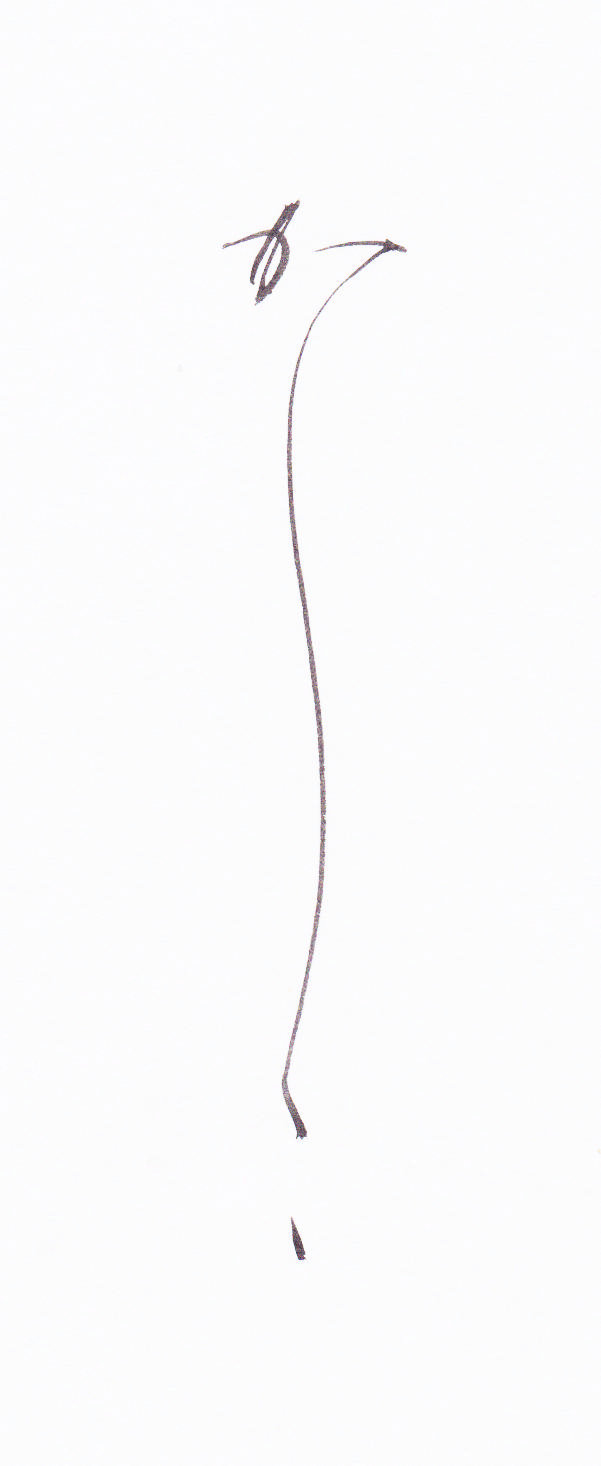 Yaeko+Sasabuchi+Kalligraphie+Duesseldorf